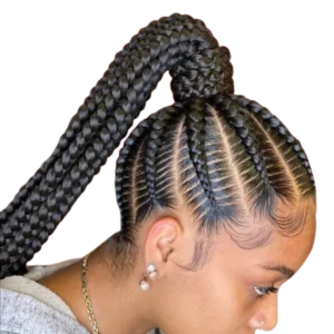 Stitch Braid with Ponytail